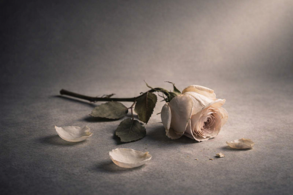 Luto: a arte de reconstruir o mundo interior